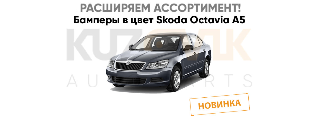 Расширяем ассортимент Skoda Octavia